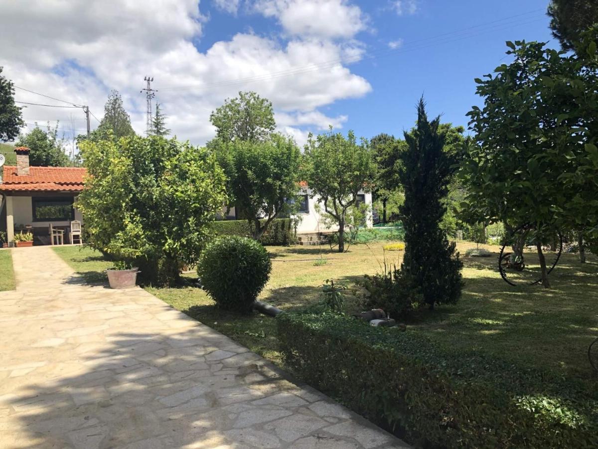 Casas Viriatus - Turismo Rural باريديس دي كورا المظهر الخارجي الصورة